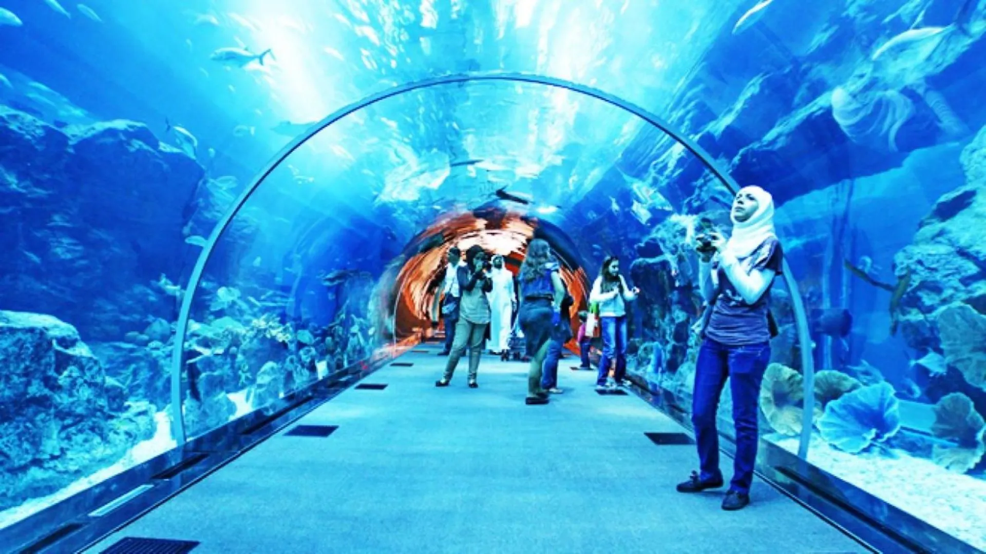 Dalla Laretta Di Fronte All Acquario Di Genova 0*, Génova Italia